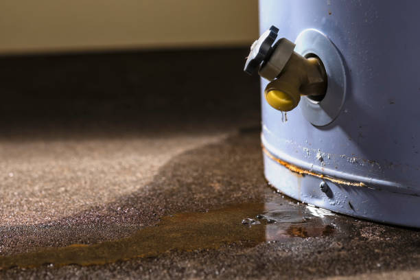 Best 24/7 water damage repair  in Mount Airy, MD
