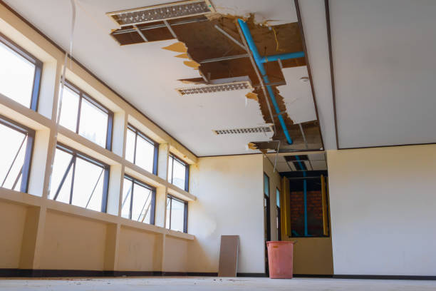 Best Fire Damage Restoration  in Mount Airy, MD