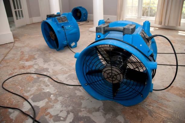 Best Water damage restoration near me  in Mount Airy, MD