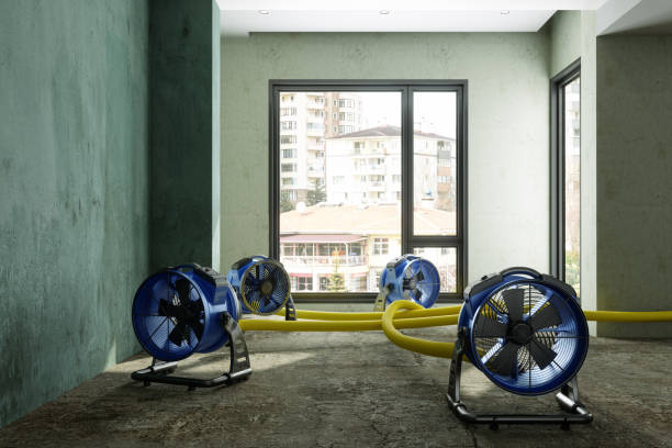 Water damage restoration experts in Mount Airy, MD